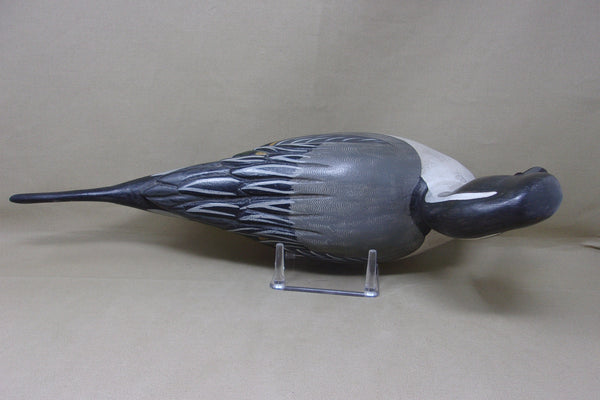 Full Size Pintails Pair, Charles Moore (#4523)