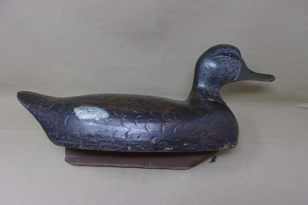 Push Patel Black Duck Drake, Circa 1930's (#4524)