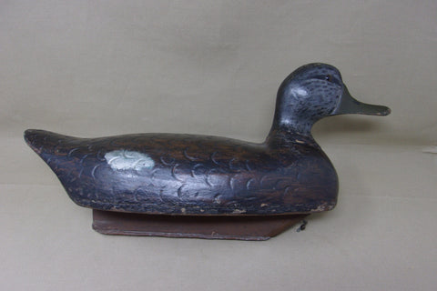 Push Patel Black Duck Drake, Circa 1930's (#4524)