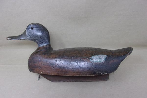 Push Patel Black Duck Drake, Circa 1930's (#4524)