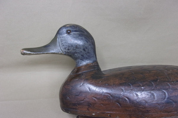 Push Patel Black Duck Drake, Circa 1930's (#4524)