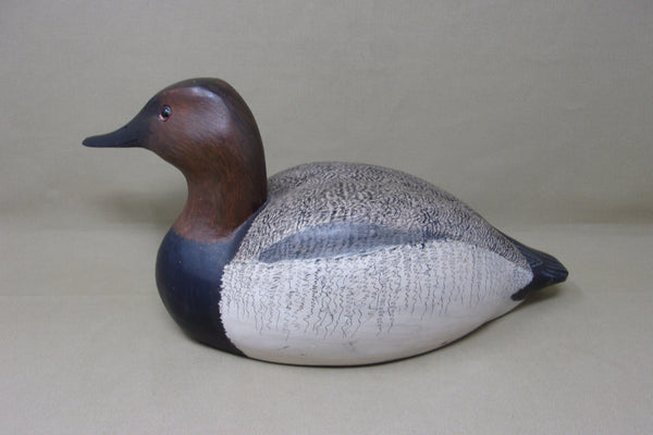 Russell Brown Canvasback Drake (#4532)