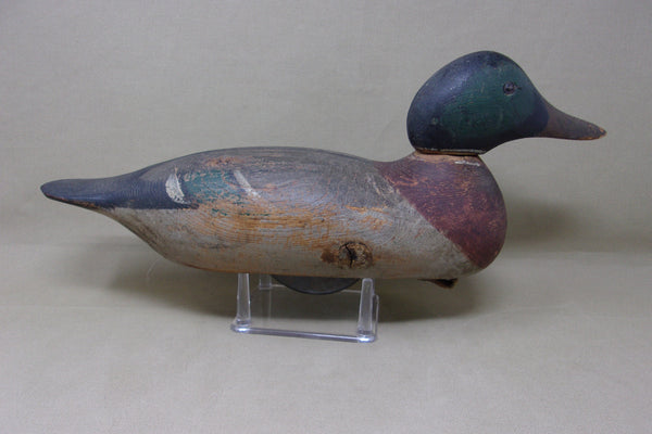 Mason Tack-eye Mallard Drake Original Paint, Circa 1920's  (#4533)