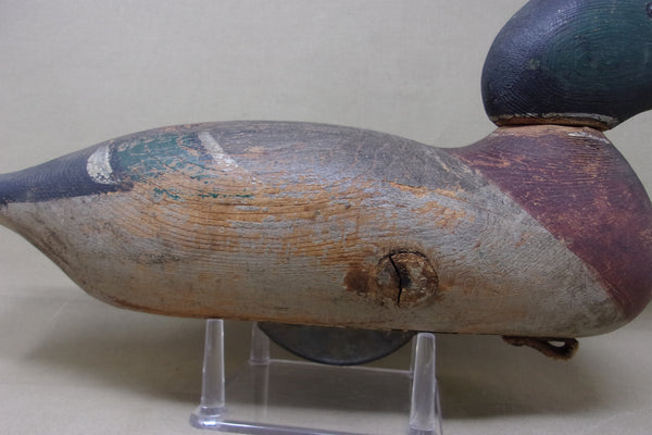 Mason Tack-eye Mallard Drake Original Paint, Circa 1920's  (#4533)