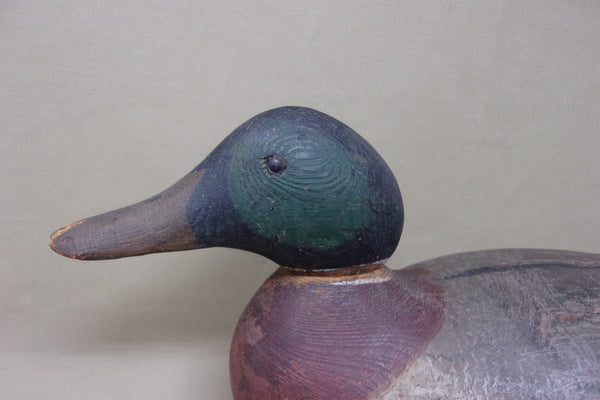 Mason Tack-eye Mallard Drake Original Paint, Circa 1920's  (#4533)