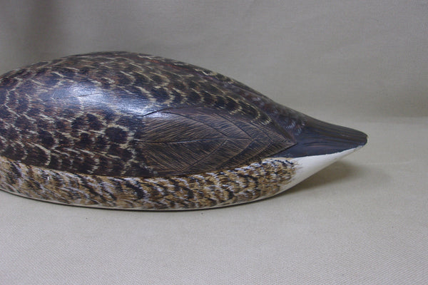 Western Grebe by Joe Anderlik (#4536)