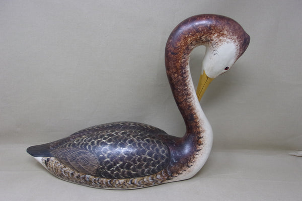 Western Grebe by Joe Anderlik (#4536)