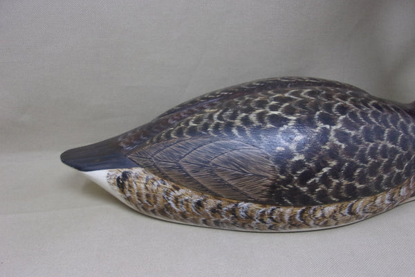 Western Grebe by Joe Anderlik (#4536)