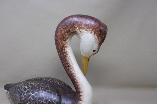 Western Grebe by Joe Anderlik (#4536)