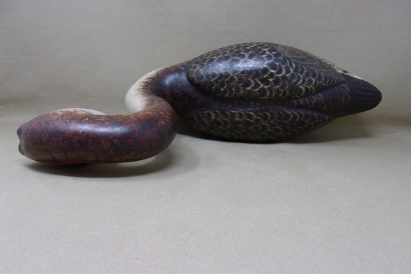 Western Grebe by Joe Anderlik (#4536)