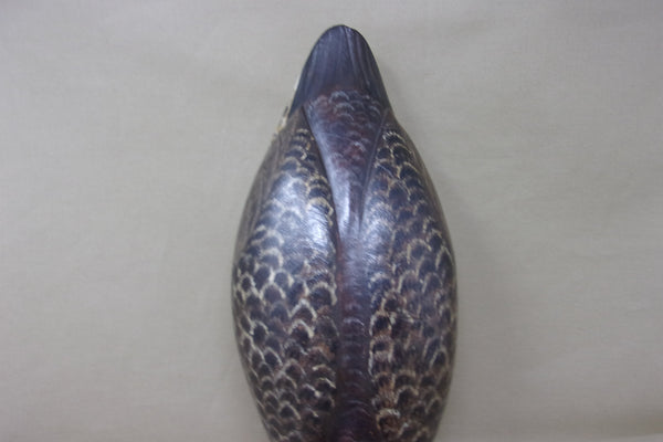 Western Grebe by Joe Anderlik (#4536)