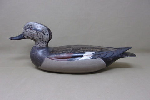 Gadwall Drake by Torry Ward / Charlie Moore (#4545)