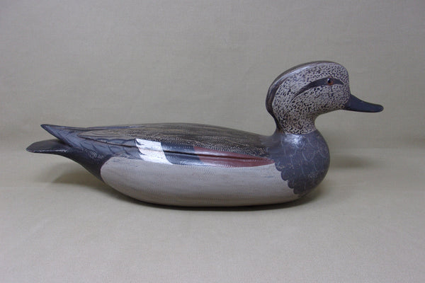 Gadwall Drake by Torry Ward / Charlie Moore (#4545)