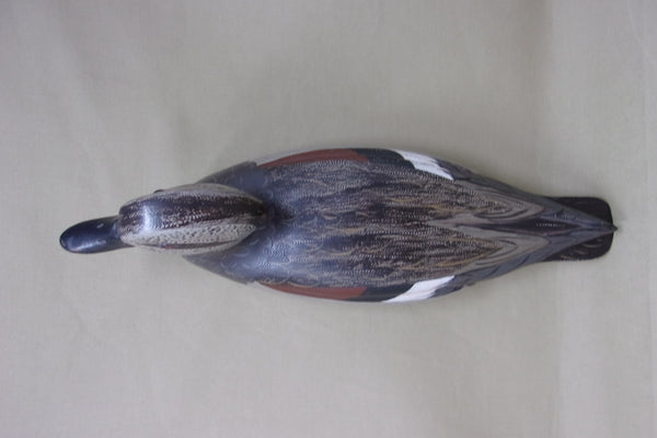 Gadwall Drake by Torry Ward / Charlie Moore (#4545)