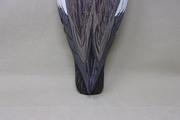 Gadwall Drake by Torry Ward / Charlie Moore (#4545)