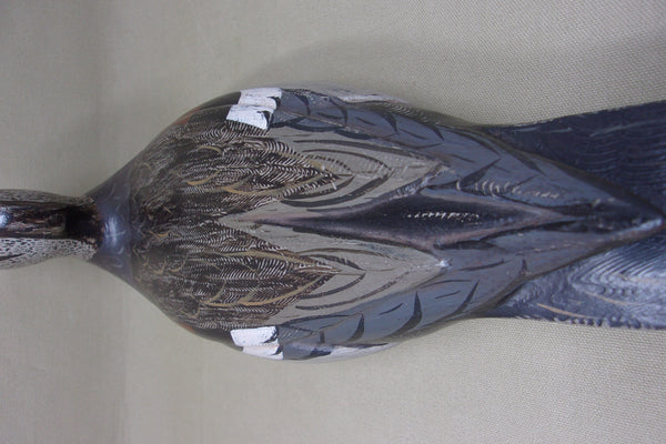 Gadwall Drake by Torry Ward / Charlie Moore (#4545)