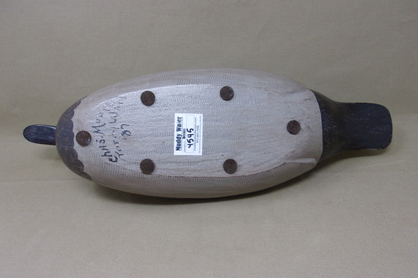 Gadwall Drake by Torry Ward / Charlie Moore (#4545)