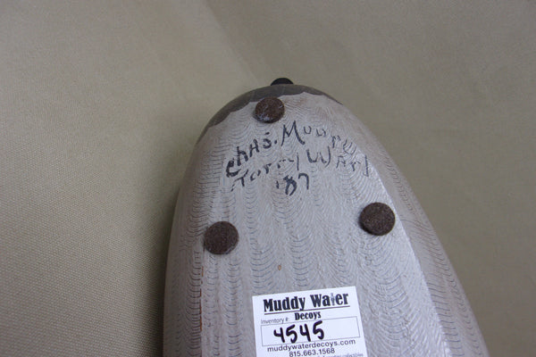 Gadwall Drake by Torry Ward / Charlie Moore (#4545)