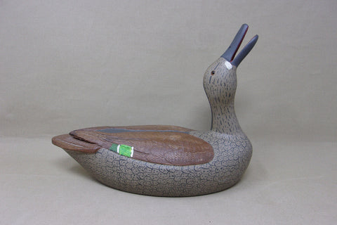 John Thomas Calling Green Wing Teal Hen (#4548)