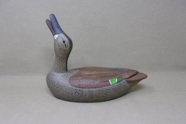 John Thomas Calling Green Wing Teal Hen (#4548)