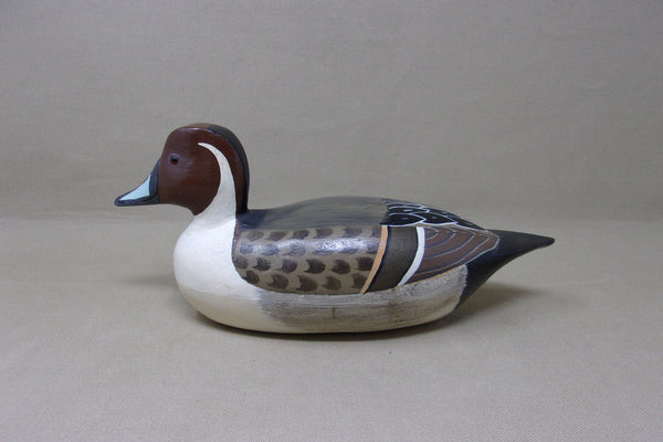 Al Pawlak Pintail, Helen Hageman Paint (#4549)