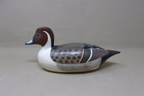 Al Pawlak Pintail, Helen Hageman Paint (#4549)