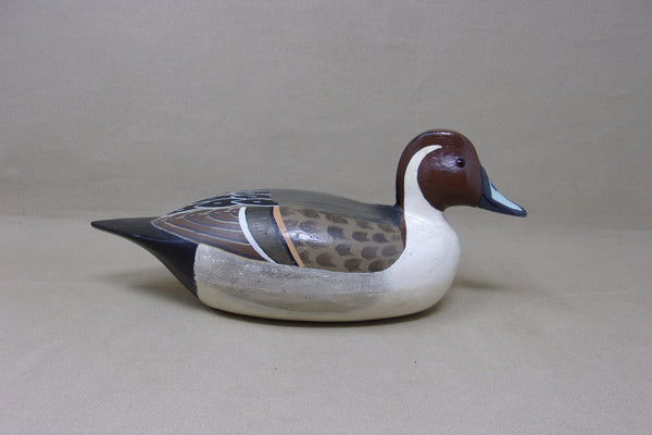 Al Pawlak Pintail, Helen Hageman Paint (#4549)