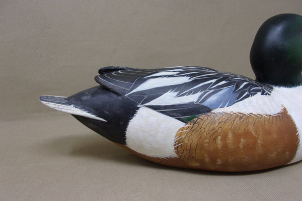 Katy Perdew Shoveler  (#4550)