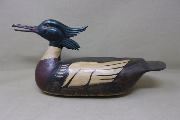 Stylish Merganser, All Original (#4551)