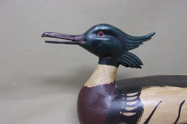 Stylish Merganser, All Original (#4551)