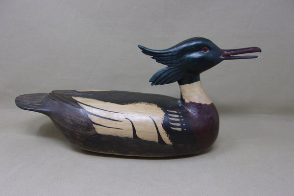 Stylish Merganser, All Original (#4551)