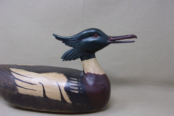 Stylish Merganser, All Original (#4551)
