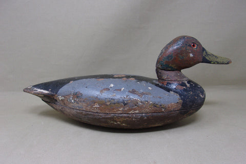 Illinois River Canvasback, Circa 1920's (#4553)