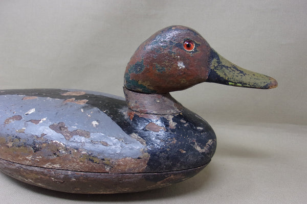 Illinois River Canvasback, Circa 1920's (#4553)