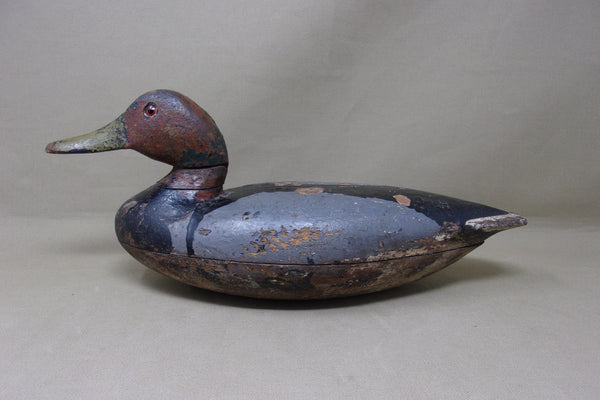 Illinois River Canvasback, Circa 1920's (#4553)