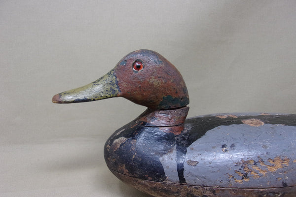 Illinois River Canvasback, Circa 1920's (#4553)