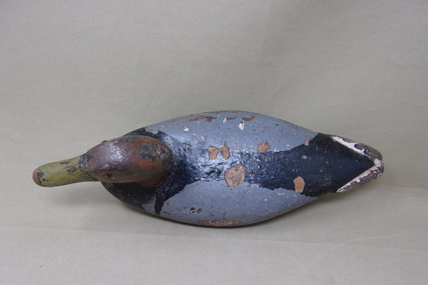 Illinois River Canvasback, Circa 1920's (#4553)