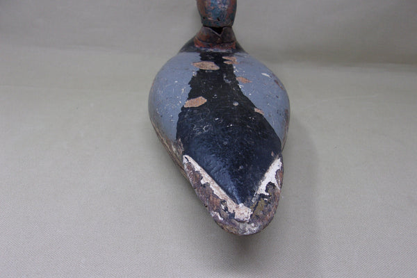 Illinois River Canvasback, Circa 1920's (#4553)