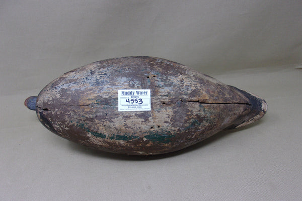 Illinois River Canvasback, Circa 1920's (#4553)