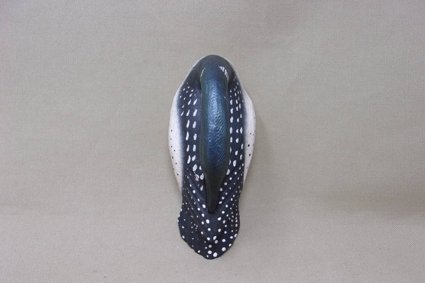 Casey Edwards Mini Sleeper Loon (#4563)