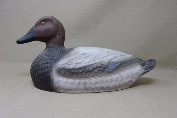 Paper Mache Canvasback Hen, Ariduk (#4564)
