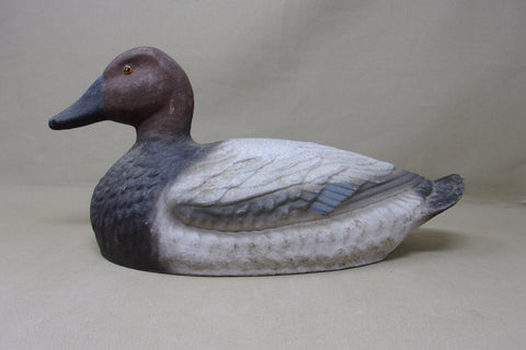 Paper Mache Canvasback Hen, Ariduk (#4564)
