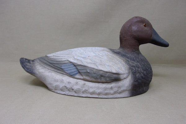 Paper Mache Canvasback Hen, Ariduk (#4564)