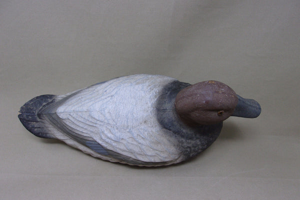 Paper Mache Canvasback Hen, Ariduk (#4564)