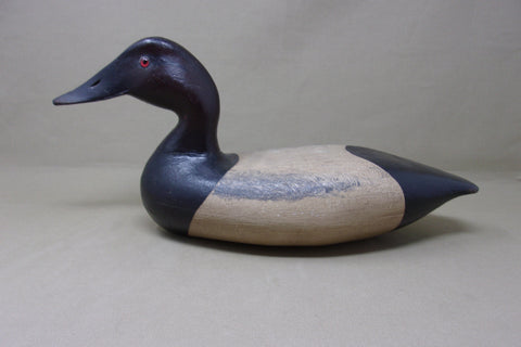 Illinois River Canvasback, Circa 1920's (#4568)