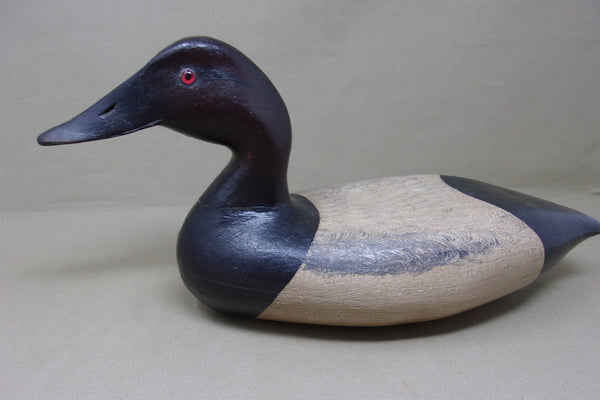 Illinois River Canvasback, Circa 1920's (#4568)