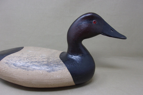 Illinois River Canvasback, Circa 1920's (#4568)