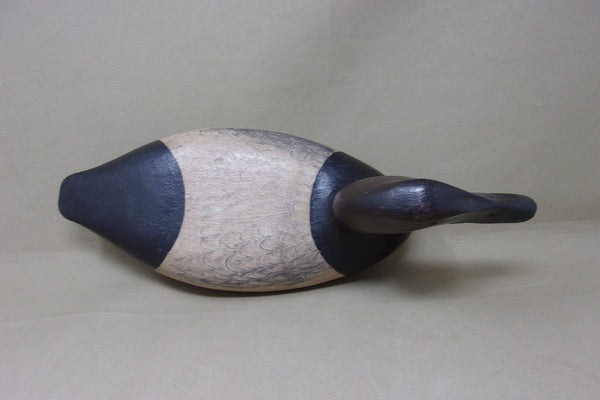 Illinois River Canvasback, Circa 1920's (#4568)