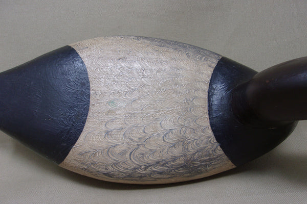 Illinois River Canvasback, Circa 1920's (#4568)