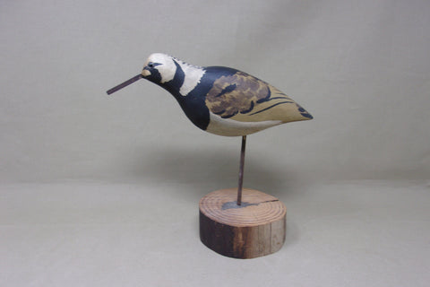 Donna Tonelli Ruddy Turnstone  (#4573)